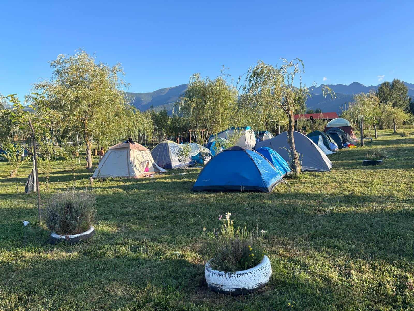 campare_Cort_in_gradina_ielelor-4